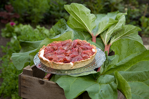 Friszoete rabarbertaart met amandel